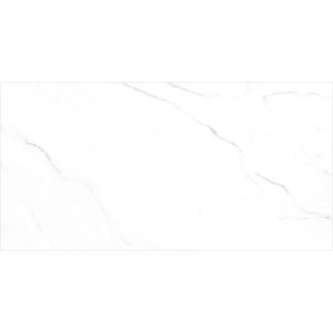 ENMAR1005MT60120 | Carrara Bianco Matt