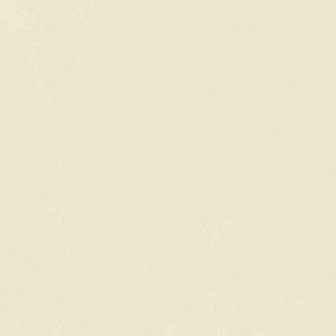ENCLR6081MT2020 | Corsica Beige Matt