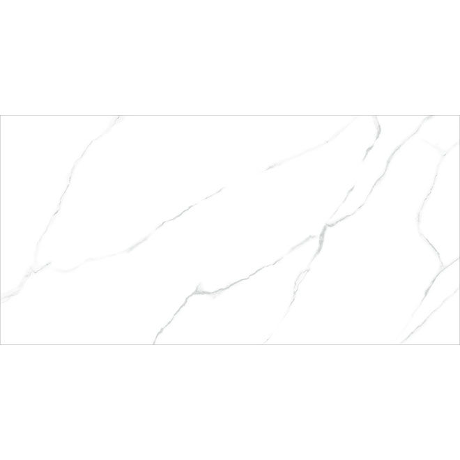 60120AMR00P | Atlantic Marble