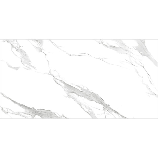 60120CLM15P | Calacatta Montreal