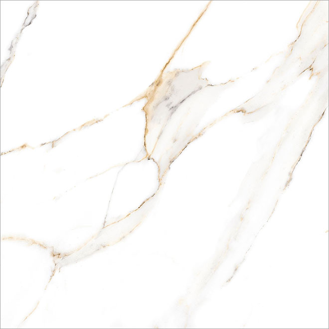 GFU6060ECL04R | Extra Calacatta