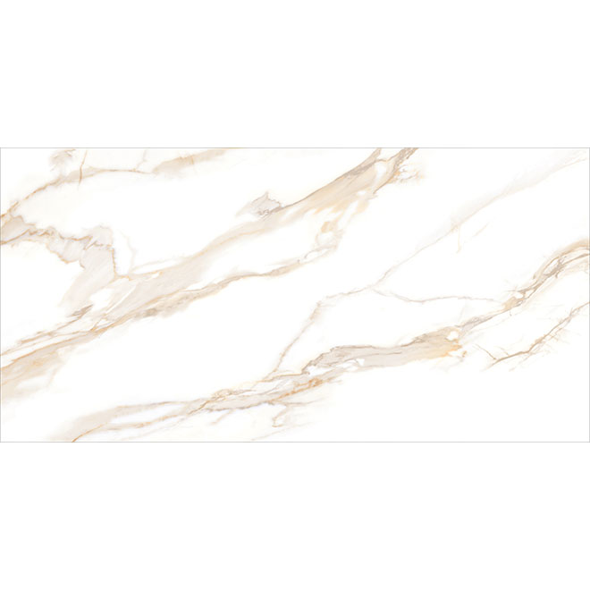 60120SAC11P | Sandy Carrara