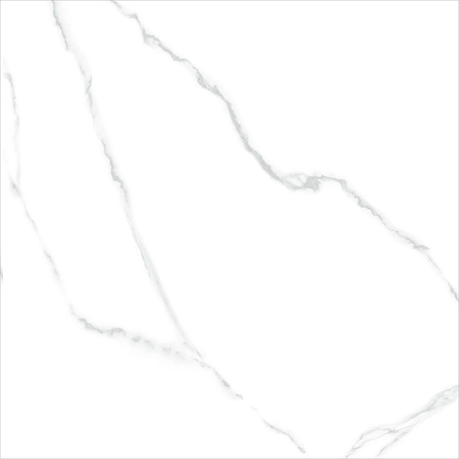 6060AMR00P | Atlantic Marble