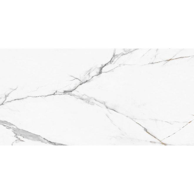 60120REG00P | Calacatta Regal