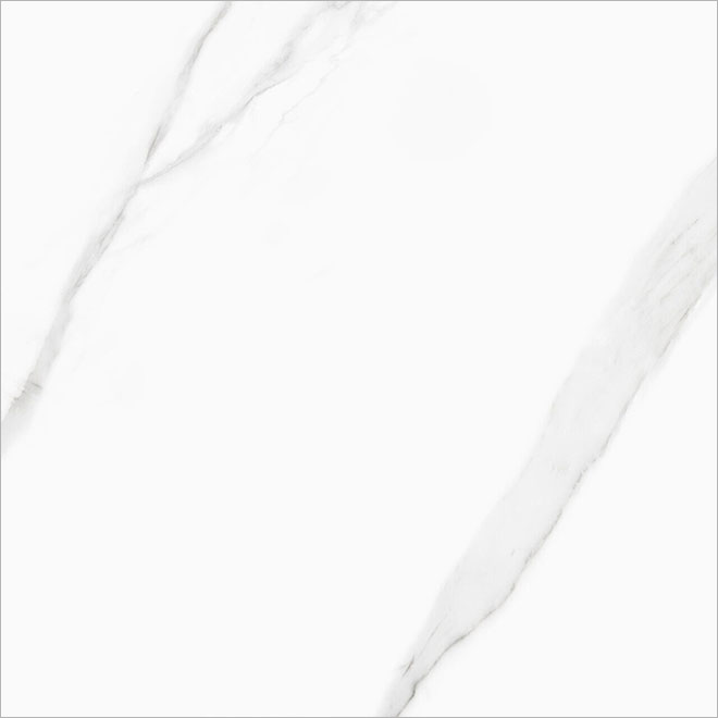D60239M | Life Calacatta