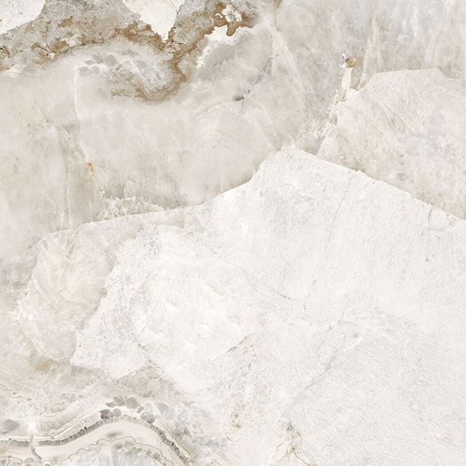 D60256M | Seashell