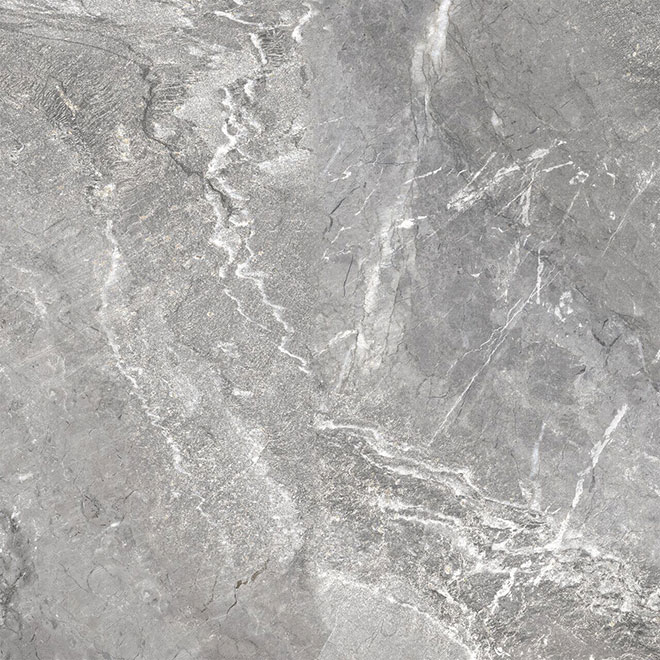 D60260M | Wild Dark
